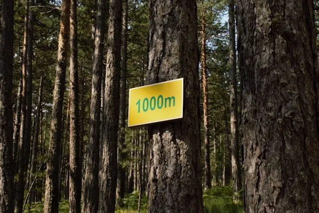 1000+ важных английских слов